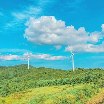 囧囧兔破解版下载